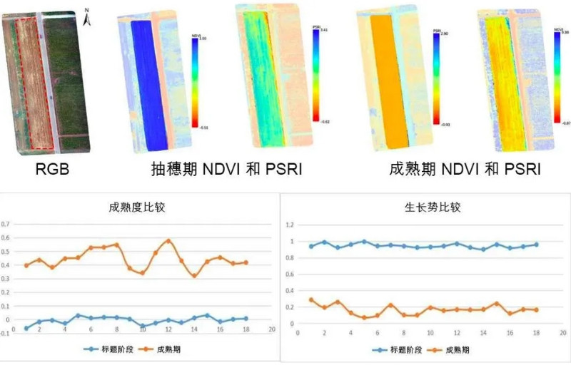 Specim AFX10無人機(jī)載高光譜成像系統(tǒng)記錄小麥在不同時期的歸一化植被指數(shù)和植物衰老反射指數(shù)