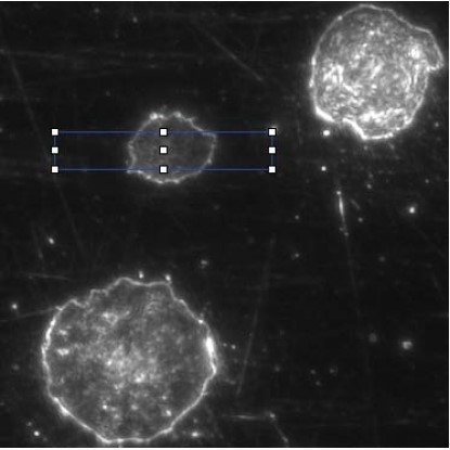 立式金相顯微鏡結果