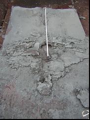 圖3用于進一步分析的斷裂殼