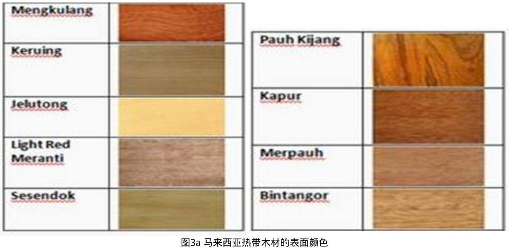 圖3a 馬來(lái)西亞熱帶木材的表面顏色