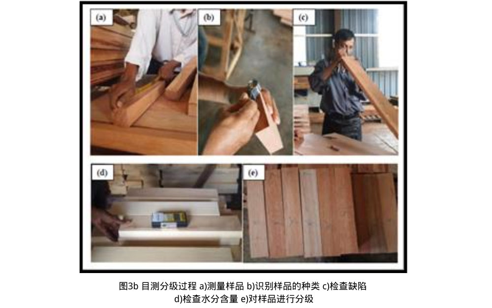 圖3b 目測(cè)分級(jí)過程 a)測(cè)量樣品 b)識(shí)別樣品的種類 c)檢查缺陷 d)檢查水分含量 e)對(duì)樣品進(jìn)行分級(jí)