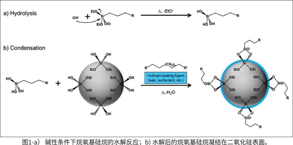 圖1-a) 堿性條件下烷氧基硅烷的水解反應(yīng);b) 水解后的烷氧基硅烷凝結(jié)在二氧化硅表面
