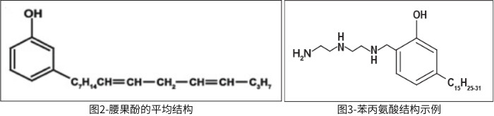 圖2-腰果酚的平均結構；圖3-苯丙氨酸結構示例
